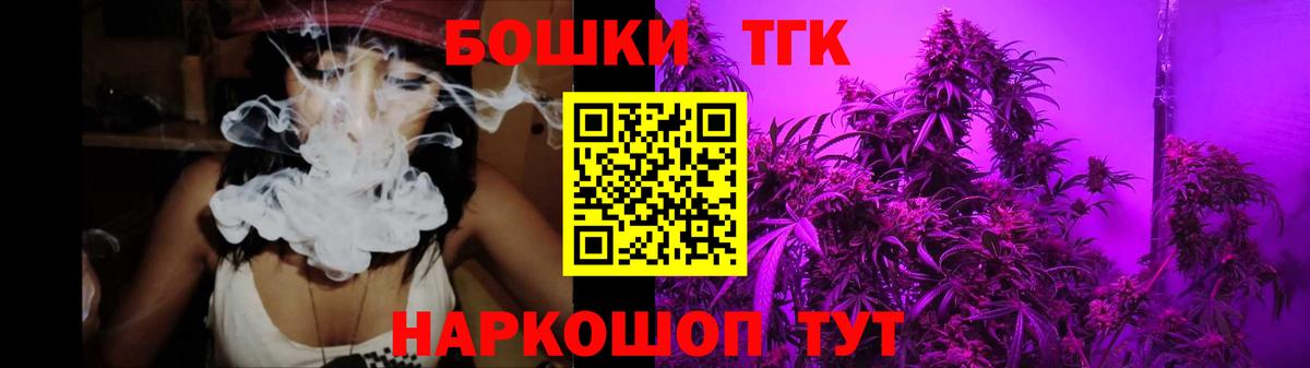 Бошки Шишки план Бийск